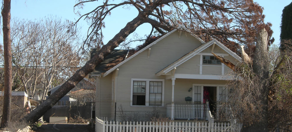 Hallsville Emergency Tree Removal